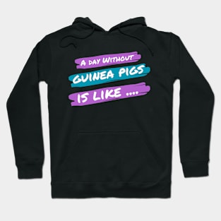 A Day Without Guinea Pigs Is Like .... Hoodie